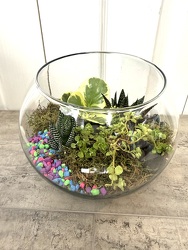 Terrarium from Aladdin's Floral in Idaho Falls